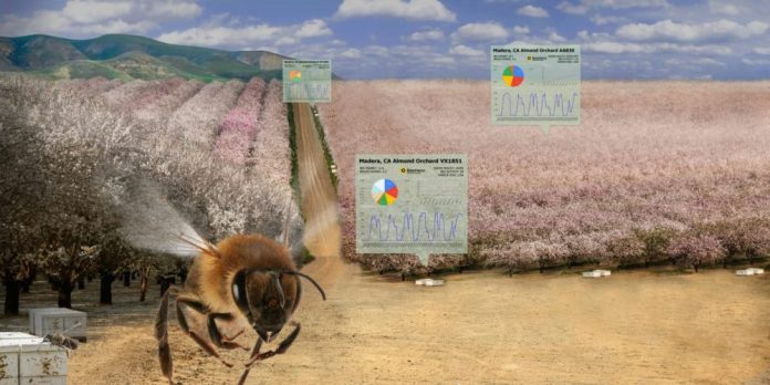BeeHero blossoms with $4m seed round to commercialize precision pollination