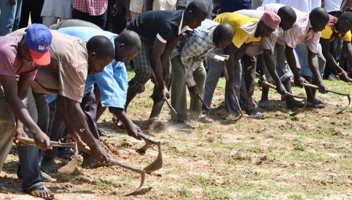FG inaugurates committee to improve agric extension services
