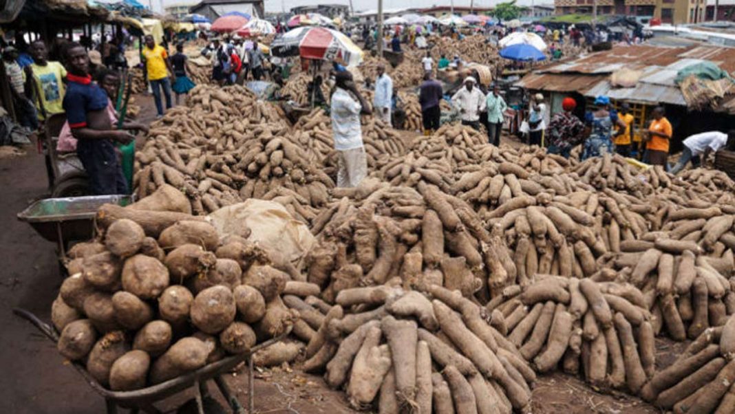 Farmers count losses as commodities perish for lack of buyersFeatures — The Guardian Nigeria News – Nigeria and World News