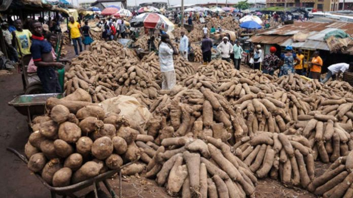 Farmers count losses as commodities perish for lack of buyersFeatures — The Guardian Nigeria News – Nigeria and World News