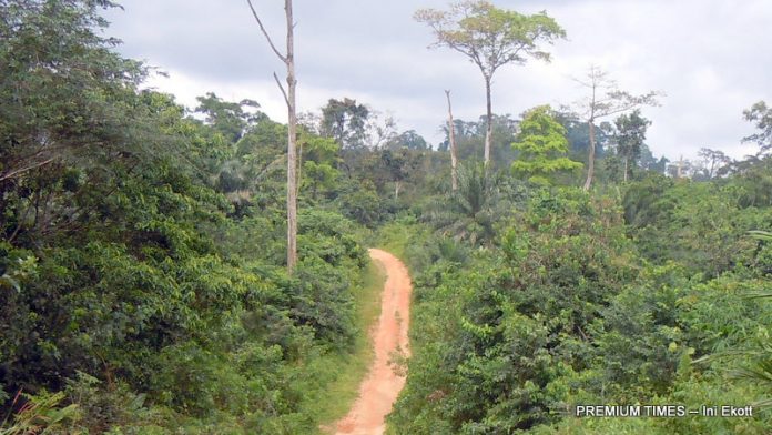 Forests provide sustenance for 90% of world’s ‘extremely poor’- Report