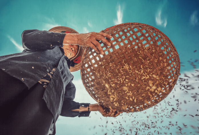 Global adoption of 25 farming practices could reduce CO2 emissions by 4.6 GT by 2025 – new McKinsey report