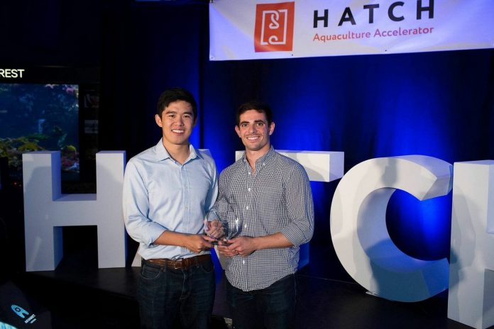 Hatch 4.0 accelerator is open for innovators who can bring sustainability to aquaculture