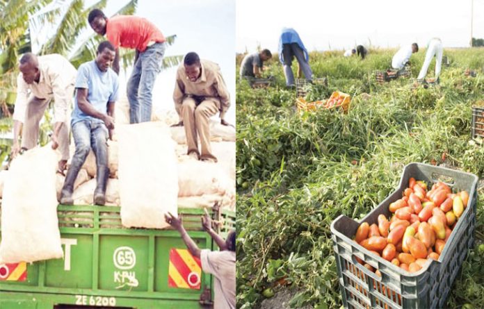 How To Ensure Free Flow Of Food, Inputs Amidst Interstate Travel Ban