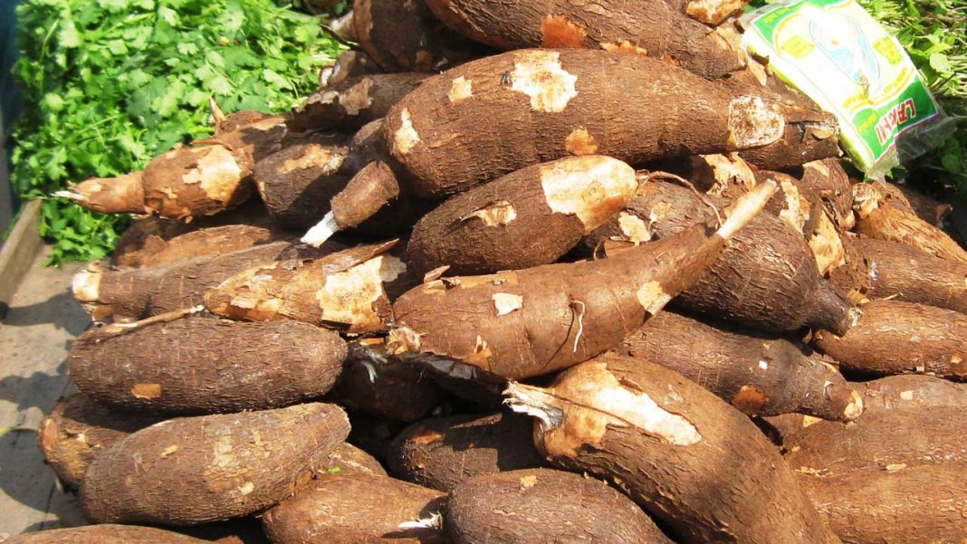 IITA harps on tackling child labour with improved weed control