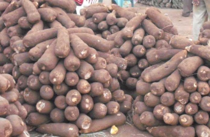 Nigerian govt orders quarantine service to resume agric export certification