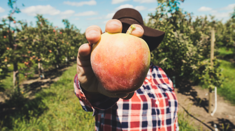 Propagate Ventures raises $1.5m seed round to help farmers adopt agroforestry
