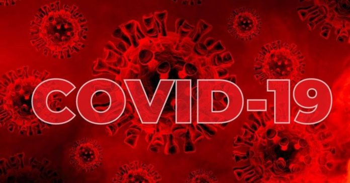 Stakeholders In Aquaculture Lament Effect Of COVID-19 On Value Chain