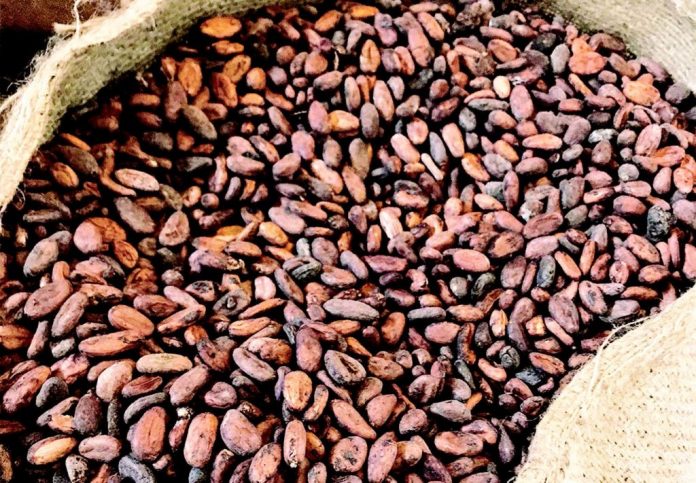 Agro Commodity Exporters Lament Effect Of Pandemic On Businesses