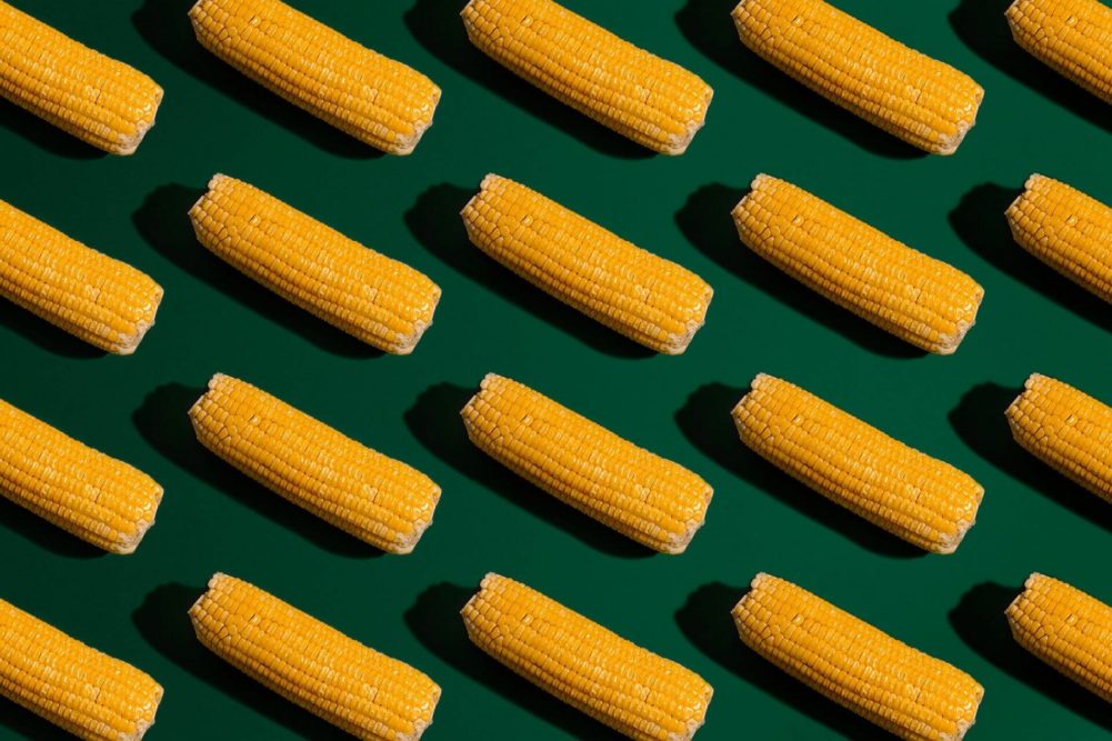 Andes Ag is integrating seeds with beneficial microbes to combat inherent delivery challenges for biologics