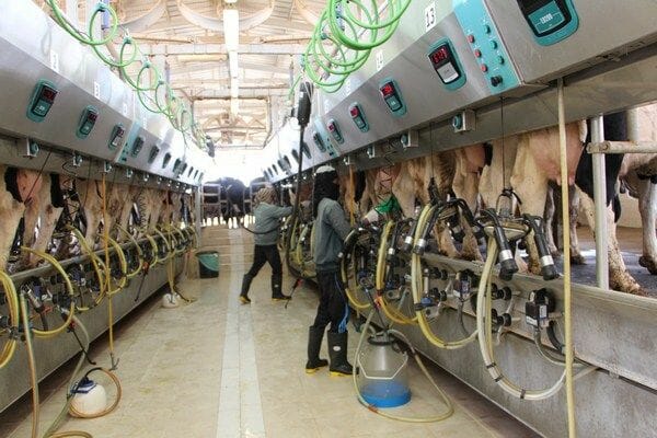 Arieli Capital hopes for desert agri-miracles with funds for a new innovation center