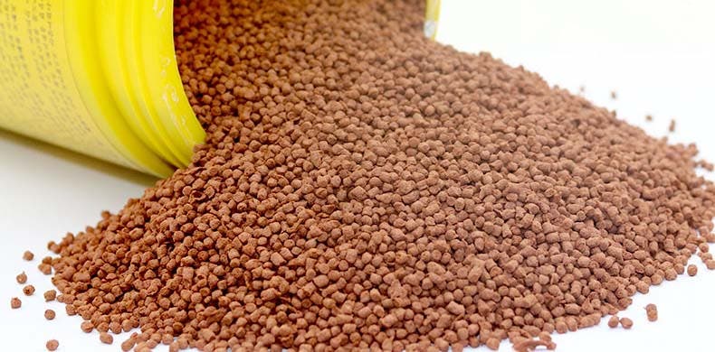 COVID-19: Fish farmers call on FG to subsidize fish feed from N15,000 to N10,000