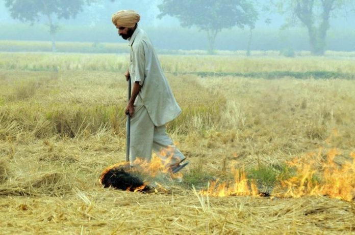 Capital for climate-resilient agriculture is vital for post-Covid India Capital for climate-resilient agriculture is vital for post-Covid India