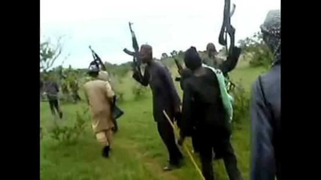 Cattle thieves kill 10 vigilantes in Zamfara ― Police