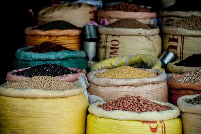 Clean Crop Technologies raises $3 million to curb post-harvest food waste