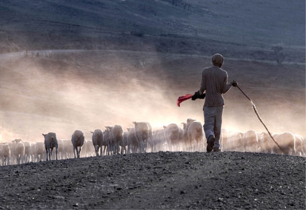 Climate change has brought herders and farmers into conflict over resources across the continent
