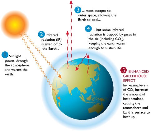 How Nigeria can use Genetic Modification Technology to mitigate the effect of climate change