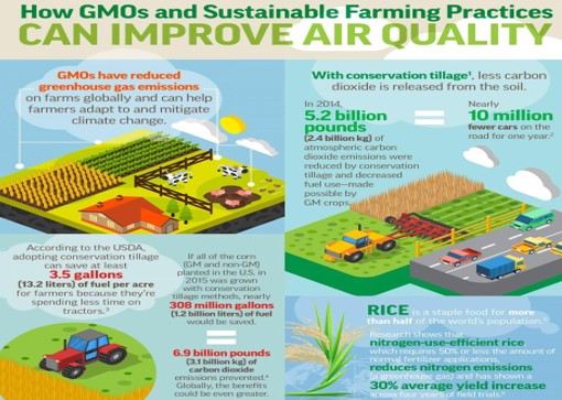 How Nigeria can use Genetic Modification Technology to mitigate the effect of climate change