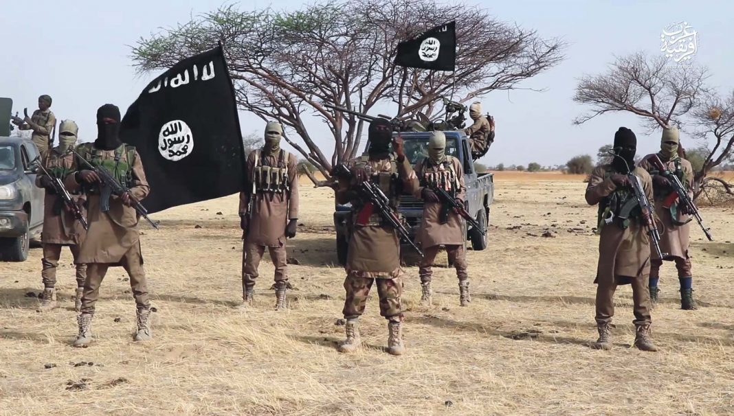 ISWAP members kill six herders, steal livestock in Borno ― Sources