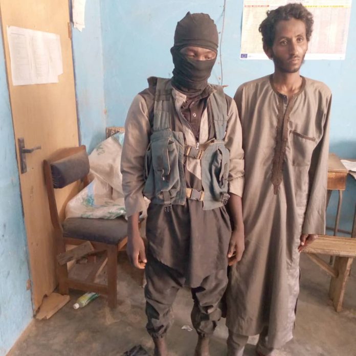 Military capture two foreign armed bandits, disrupt cattle rustling operation in Niger