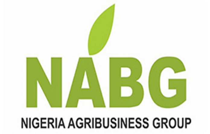 NABG Charts Way Forward For Agriculture Post COVID-19 NABG Charts Way Forward For Agriculture Post COVID-19