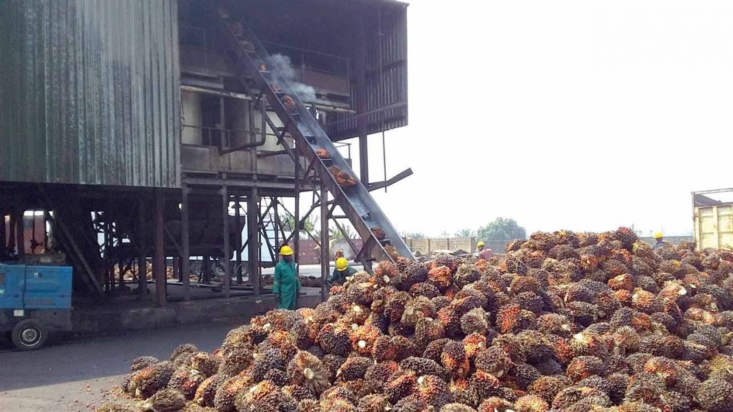 Palm oil sector faces huge challenges amid COVID-19