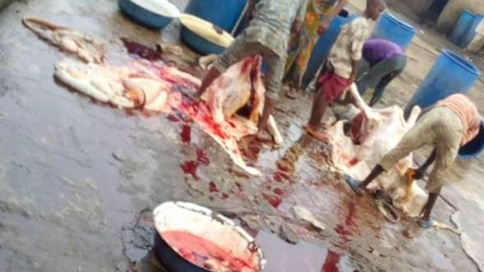 Poor abattoirs pose dangers to Abeokuta residents, others