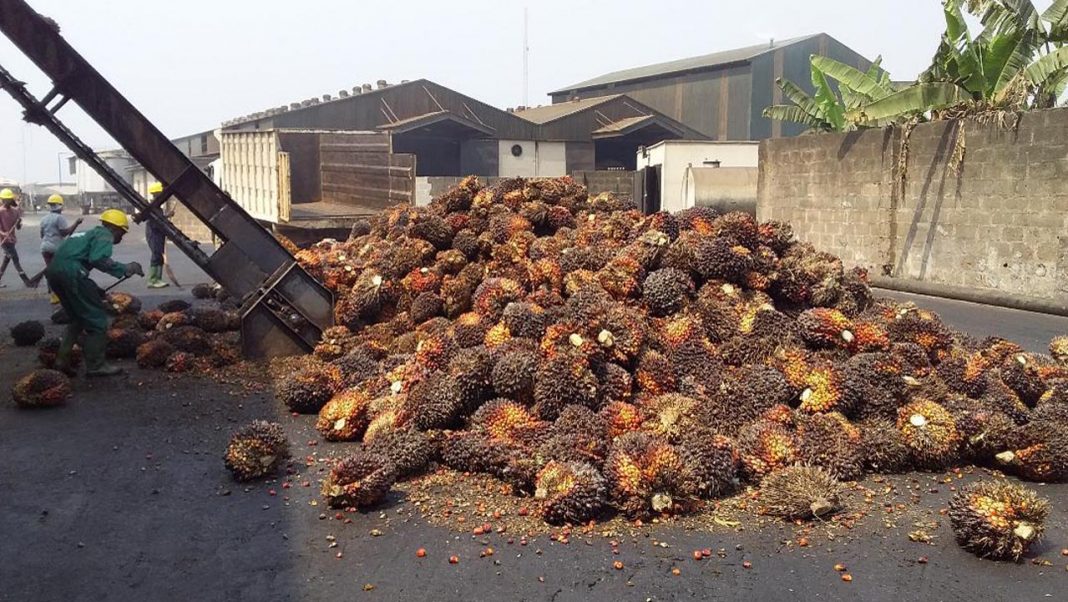 Poor financing, insecurity mar agric in Buhari’s tenure