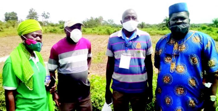 Rice Production: Lagos AFAN Seeks Govt Support On Equipment For Mechanised Farming