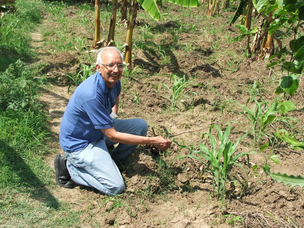 Soil scientist named 2020 world food prize laureate