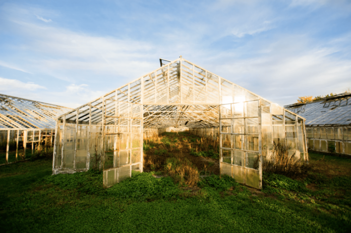 Sollum Technologies raises C$2.7m to expand greenhouse LED tech in North America