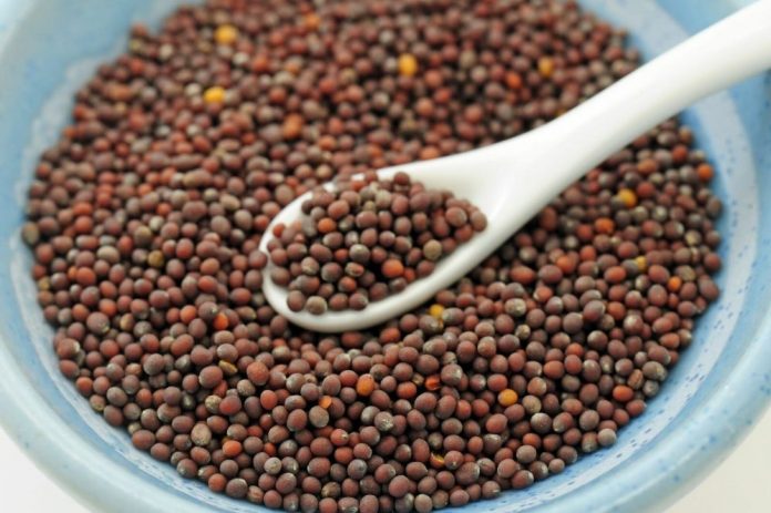 Startup Spotlight: With a decade of R&D under its belt, MustGrow wants to make biopesticides easy for growers to adopt