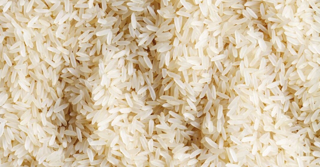 Abia attains self-sufficiency in rice production — FADAMA III coordinator