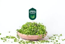Aquaponics startup Seed & Roe snags $15m, rebrands to Upward Farms Aquaponics startup Seed & Roe snags $15m, rebrands to Upward Farms