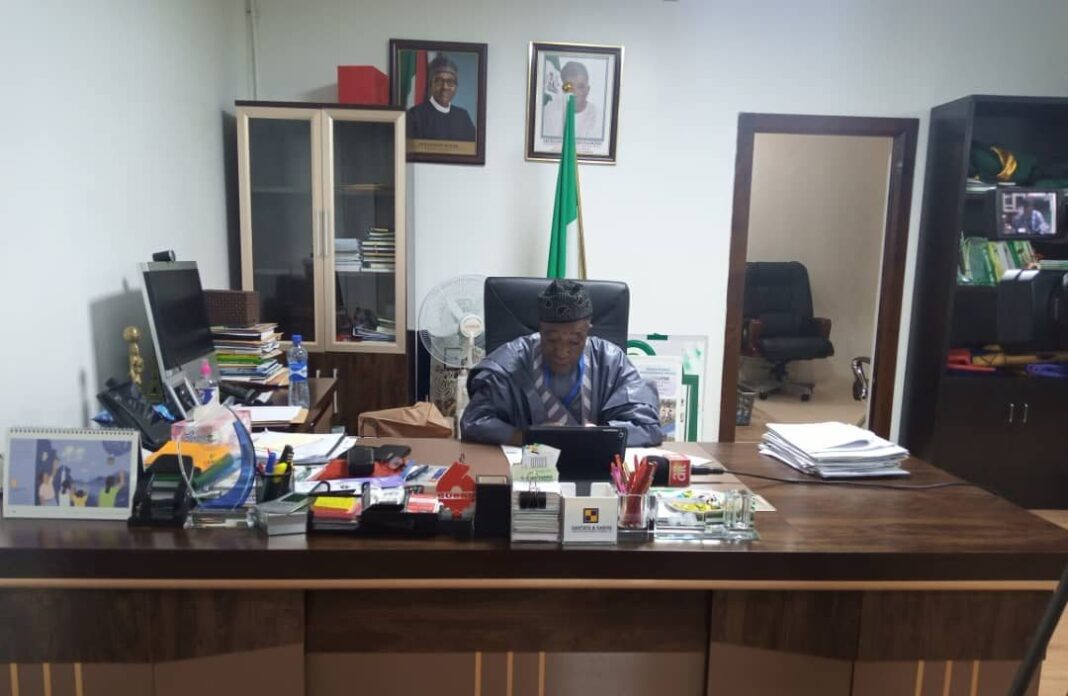 COVID-19: Nigerian govt flags off ‘agriculture for food, job plan’
