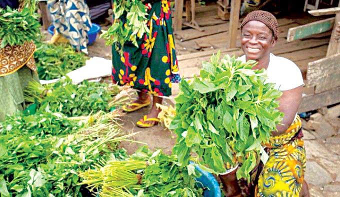 COVID-19: Vegetable farmers record huge losses