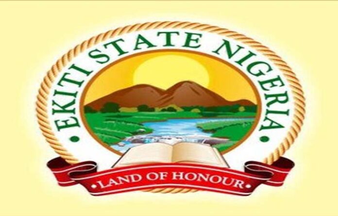 Ekiti Releases 6000 Hectares To Boost Cassava Production Ekiti Releases 6000 Hectares To Boost Cassava Production
