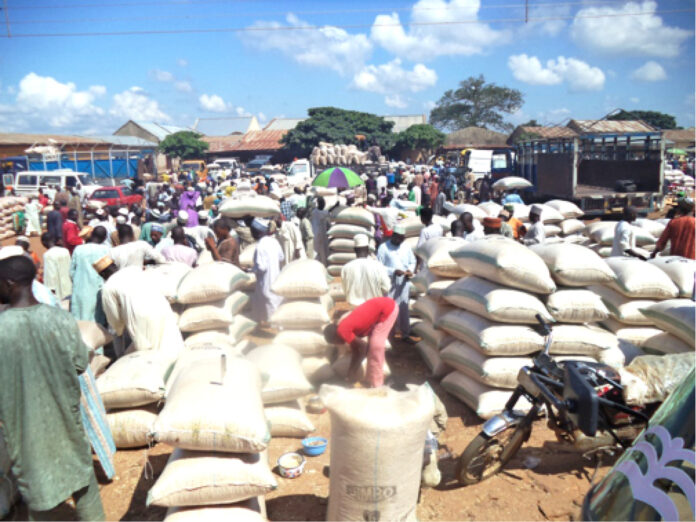 The paddy rice section of Funtua Market, Katsina State