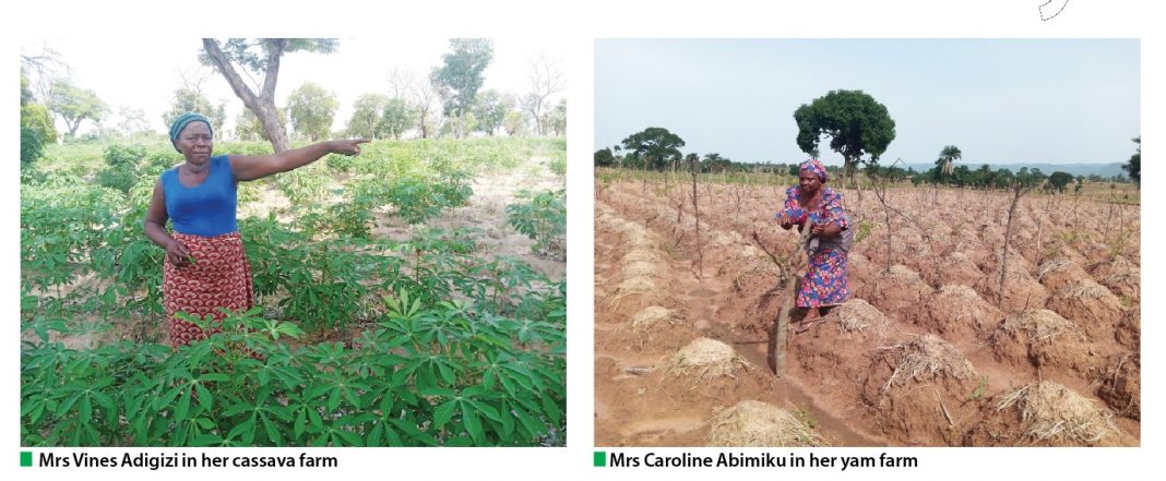 Mrs Vines Adigizi in her cassava farm and Mrs Caroline Abimiku in her yam farm