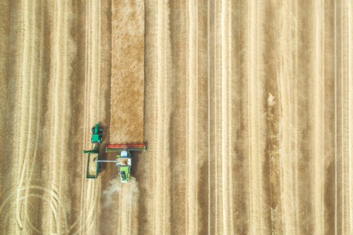Grain marketing: The biggest mistakes
