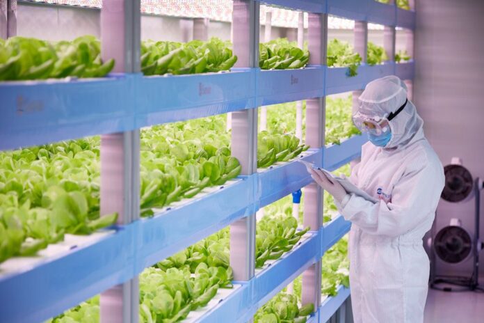 Here's how Australia can kickstart a much-needed urban ag industry
