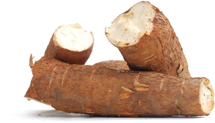 How BASICS is transforming cassava seed sector