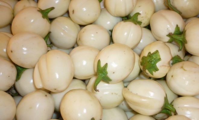 How you can farm, live on garden egg