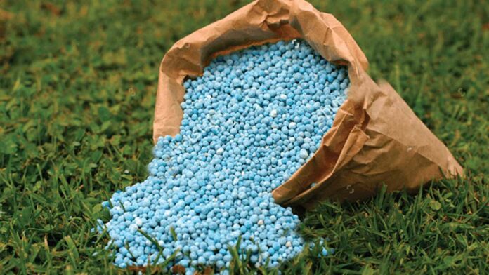 Kebbi sets up committee on distribution of fertiliser, seeds