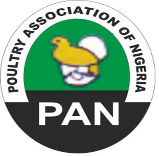 Poultry Farmers Urge Govt To Allow Maize Importation To Cushion Poultry Farmers Urge Govt To Allow Maize Importation To Cushion Effect Of Shortage