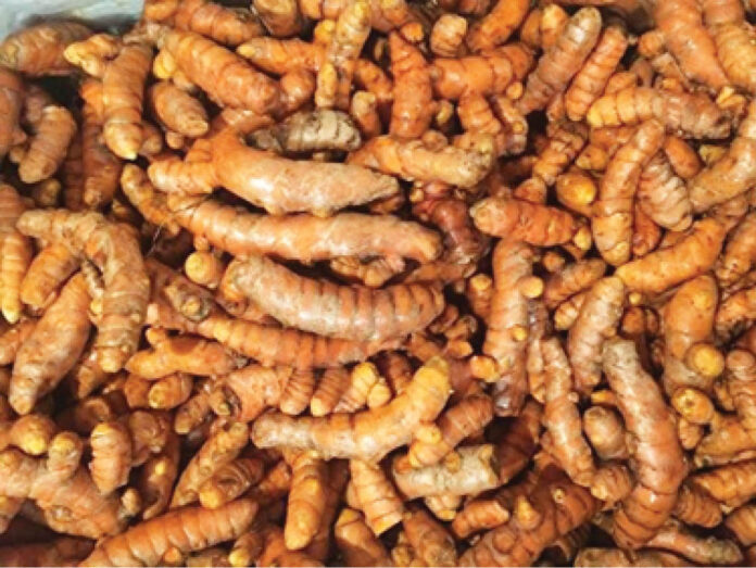 Tumeric