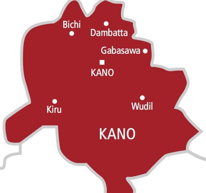 450,000 farmers to get support from Kano Agro-Pastoral, Sasakawa Africa