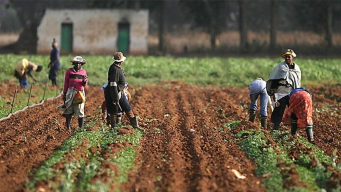 How agric commodities exchange helps Nigerian farmers