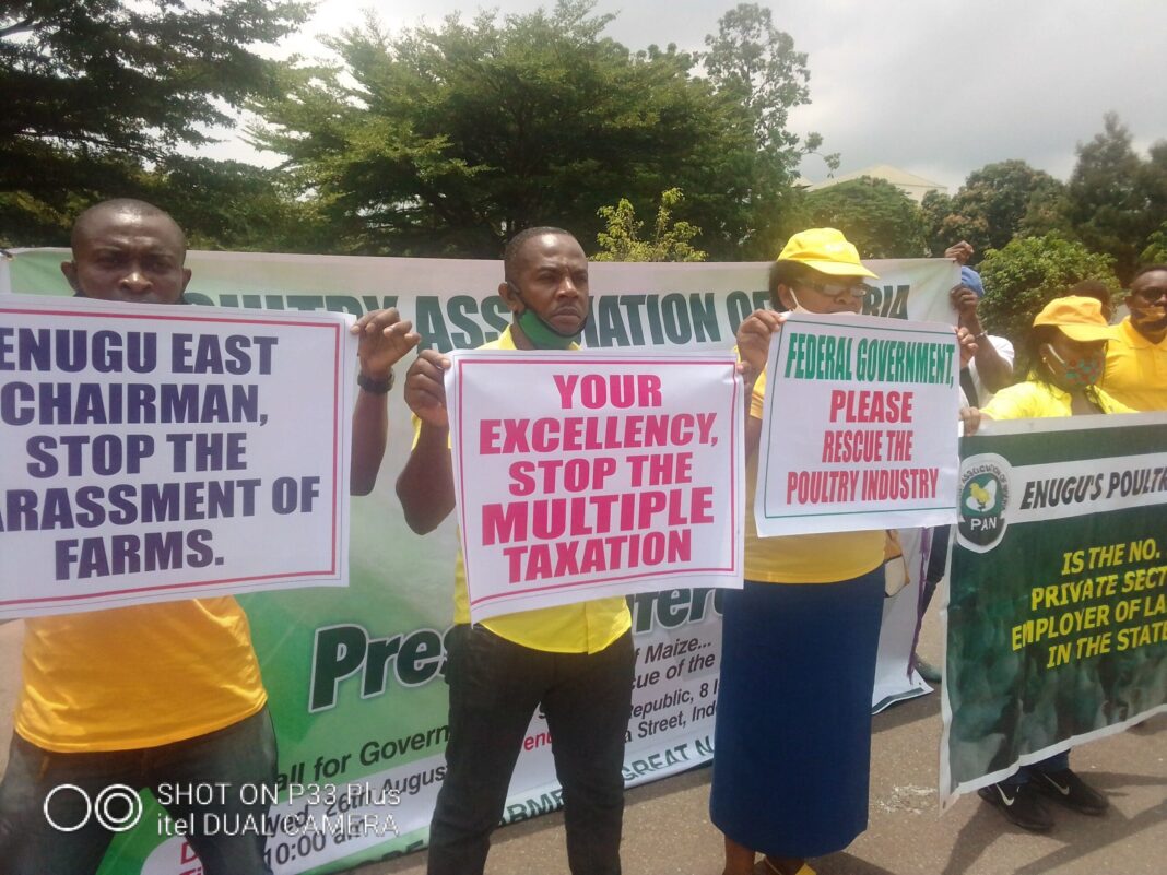 Poultry farmers protest multiple taxation, rising cost of maize