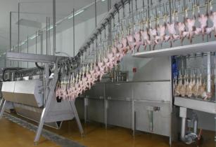 Marel Poultry Sep2020